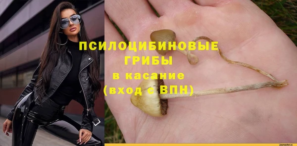 мдпв Арсеньев