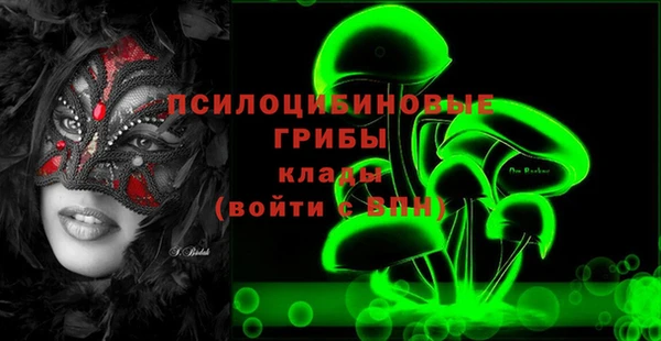 мдпв Арсеньев