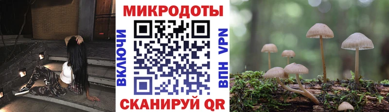 Купить где  Вичуга  Галлюциногенные грибы Psilocybe 